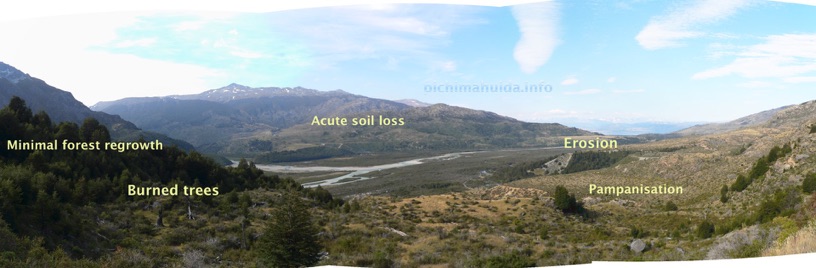 devastastated ecosystem Leones