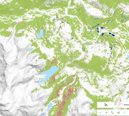 forest loss Leones valley