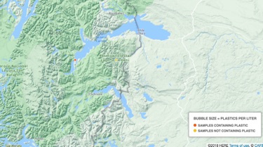 micro plastic pollution of lake Carrera