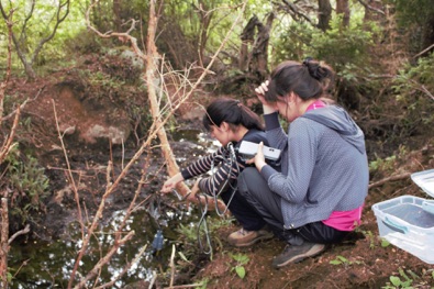 Practica Pichimahuida
