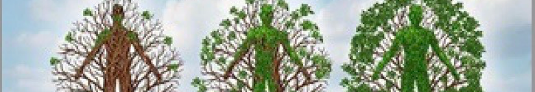 perros terranovas en Patagonia